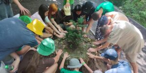 Изображение WhatsApp 2025-07-11 в 18.19.31_231bc251